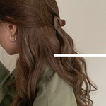 Small Triangle Claw Clip