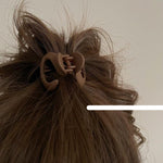 Small Triangle Claw Clip