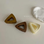 Small Triangle Claw Clip