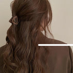 Small Triangle Claw Clip