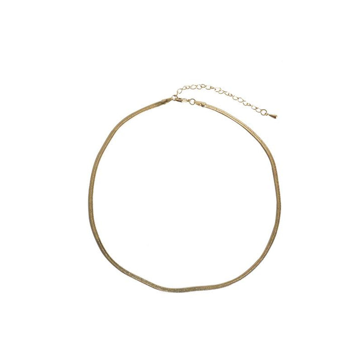 Snake Bone Necklace