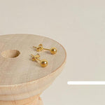 Sterling Silver Small Earrings