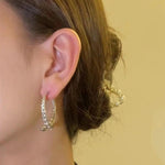 Zircon Earrings